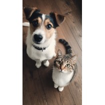 PET PRODUCTS / FOOD PET PRODUCTS / FOOD