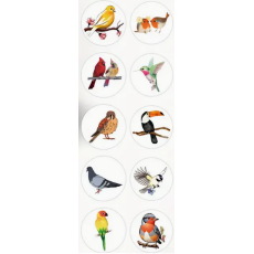 Re-usable Bird Stickers - Roll of 50's