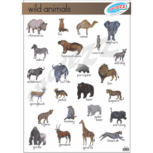Animals Many Poster WILD ANIMALS - POSTER